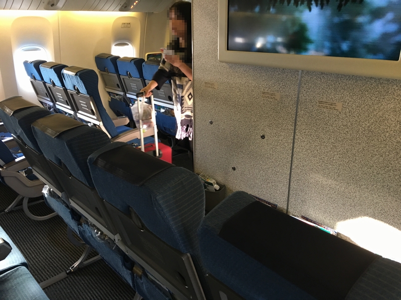 ANAdom773row11.JPG