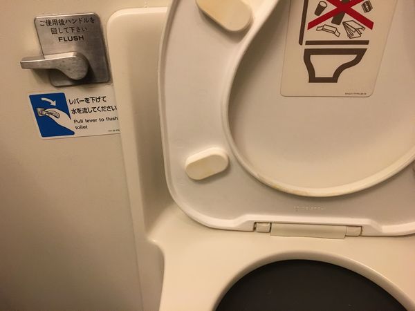 ana767300t1.jpg