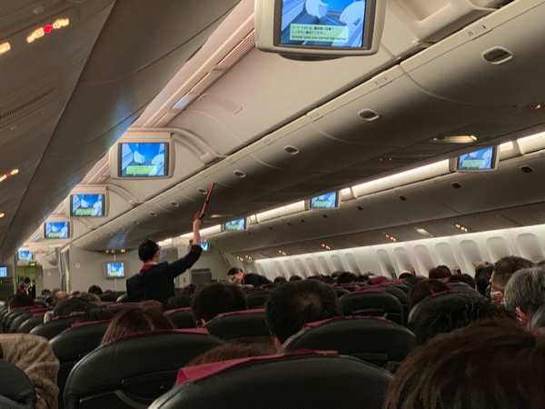 jal国内線荷物棚を棒で2019jan.jpg