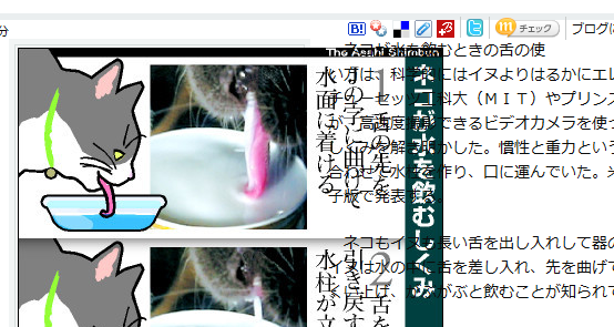IE 8の例